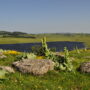 Destination Aubrac pour les vacances 2023